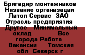 Бригадир монтажников › Название организации ­ Литоп-Сервис, ЗАО › Отрасль предприятия ­ Другое › Минимальный оклад ­ 23 000 - Все города Работа » Вакансии   . Томская обл.,Северск г.